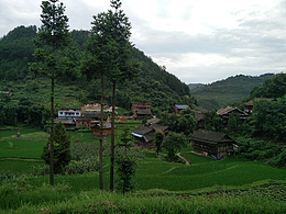 詳情頁 茶  茶壺  流水壺 煮茶款 玻璃茶壺 茶壺詳情頁