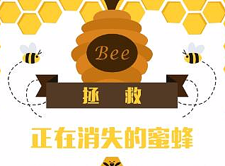 正在消失的蜜蜂