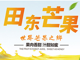 福万土特产 巴马本地土特产