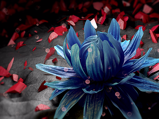 【C4D练习】C4D花瓣制作练习