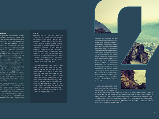 版式设计，杂志，画册，标点，国外版式，创意版式，