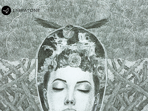 小鸟耳机里的世界