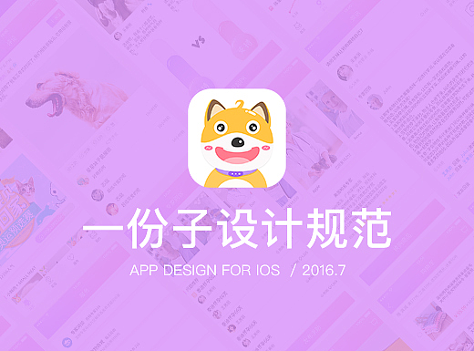设计总结／规范