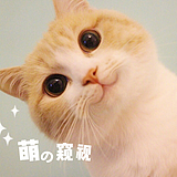 fan凡的头像