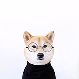 Joeyy的头像