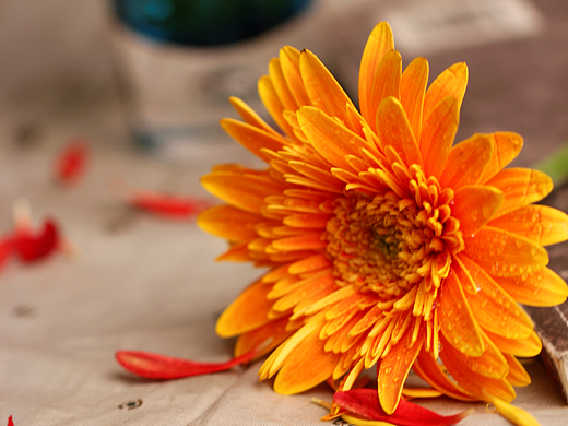 景物拍摄（个人主页-ZMjMxOTI3MjA=） - 产品摄影 - 站酷设计师冬瓜嘀嘀西瓜妹妹原创素材 - 站酷ZCOOL