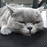 风_小七的头像