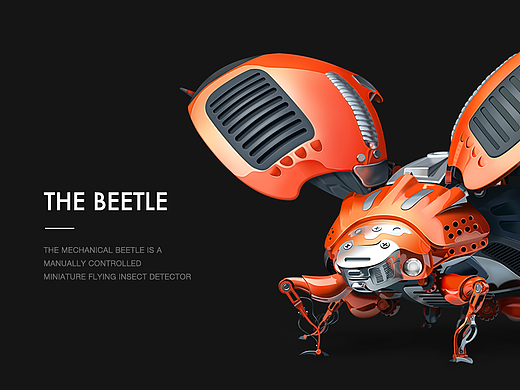 Beetle