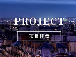 地产案例