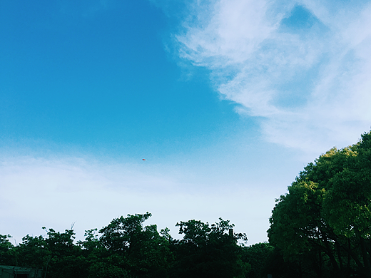 吴淞码头（手机摄影）（个人主页-ZMjIxMzQxNjQ=） - 风光摄影 - 站酷设计师三颗痣原创素材 - 站酷ZCOOL