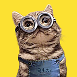 ISJY的头像