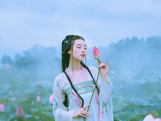 《若芙蕖》