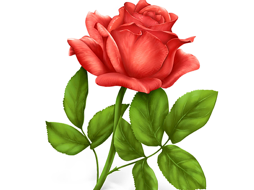 玫瑰花（個(gè)人主頁(yè)-ZMjI1Mjg4MDQ=） - 像素畫 - 站酷設(shè)計(jì)師樓兮原創(chuàng)素材 - 站酷ZCOOL