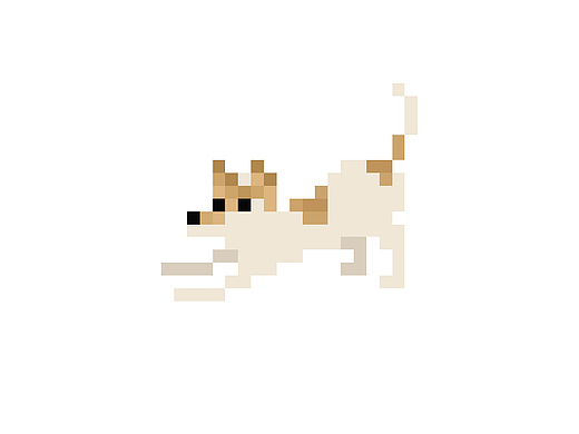 Dog "Eleven" (gif)