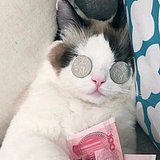废鹅的头像