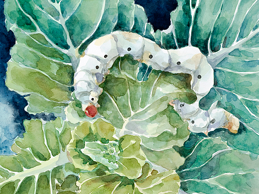 水彩葉圣陶 回到了舊時(shí)光（個(gè)人主頁-ZMjMxNzExODg=） - 兒童插畫 - 站酷設(shè)計(jì)師鸚鵡查理原創(chuàng)素材 - 站酷ZCOOL