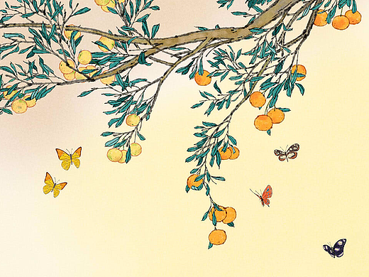 柑树插图