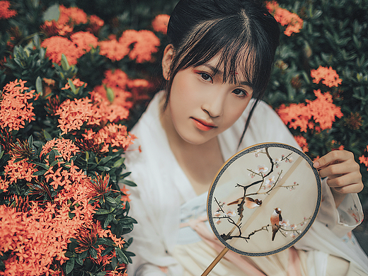 梦江南