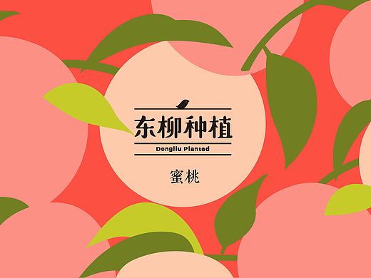 东柳种植