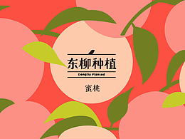 平面等