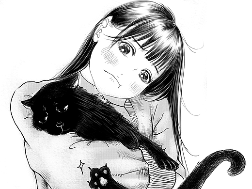 放过那只猫吧
