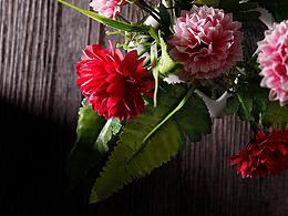 静物摄影（暗调）