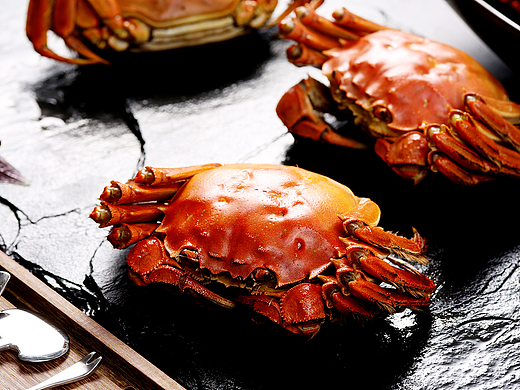 食品作品案例大闸蟹创意拍摄作品