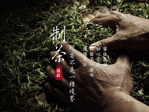 茶叶 松针 红茶 详情页