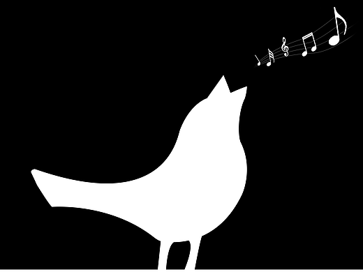 The nightingale夜之声（个人主页-ZMjgwNjA5MjQ=） - 海报 - 站酷设计师StarryHey原创素材 - 站酷ZCOOL