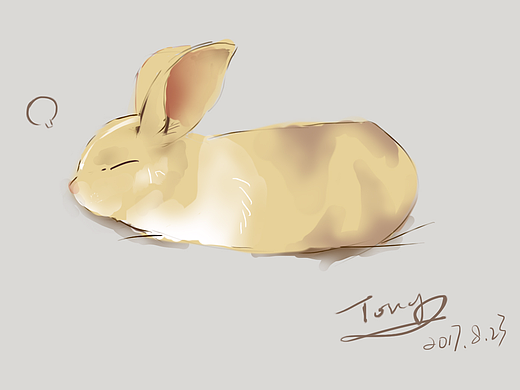 第二次数位板练习：兔