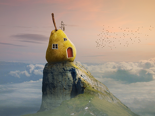 奇特的房子_创意设计作品图片素材-站酷zcool