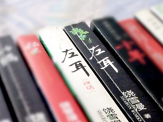 那些年,我们一起看的《左耳》