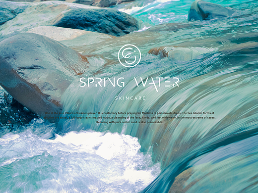 Spring Water 韩代护肤品牌（个人主页-ZMjIxMDkyNjQ=） - 品牌 - 站酷设计师Arthurist原创素材 - 站酷ZCOOL