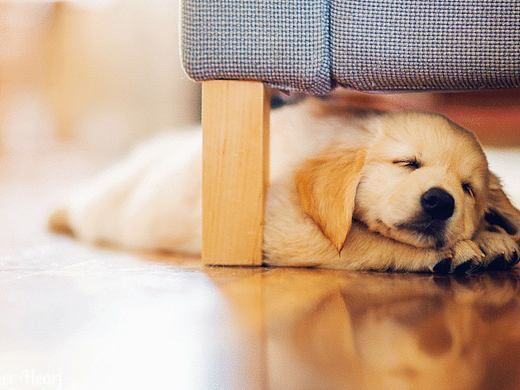 扁平,剪影,拟物图标|ui|图标|一口鸟_原创作品-站酷zcool