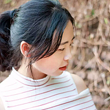 灯塔水母的头像