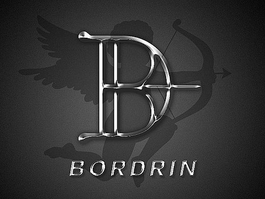 博郡汽车品牌LOGO设计