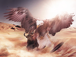 王者归来/雄鹰展翅合成（杨过雕兄）