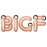 BigF的头像