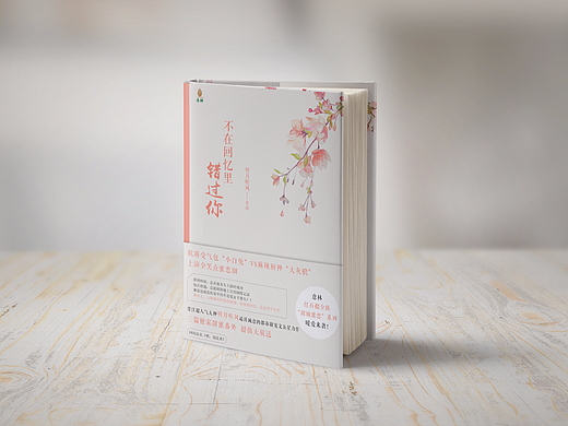 小說《不在回憶里錯過你》封面設計（個人主頁-ZMjM4NzI4MjQ=） - 書籍/畫冊 - 站酷設計師雙木夕winner原創(chuàng)素材 - 站酷ZCOOL
