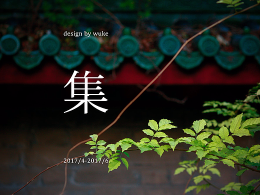 TORTOISE | 集