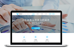 企業(yè)官網(wǎng)