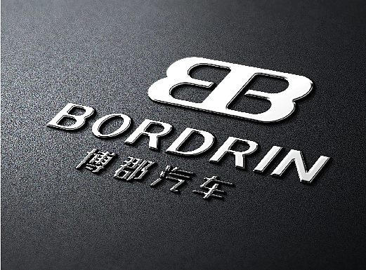 BORDRIN LOGO DESIG - 3