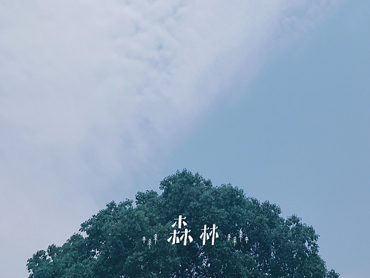 pei照