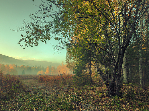 「行摄之路」秋
