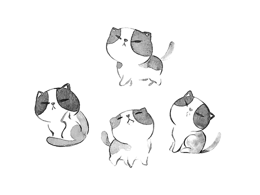 喵咪