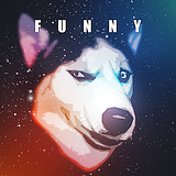 funnysamj的头像