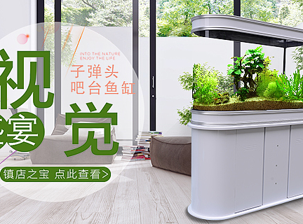鱼缸海报