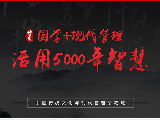 企业国学营销网站