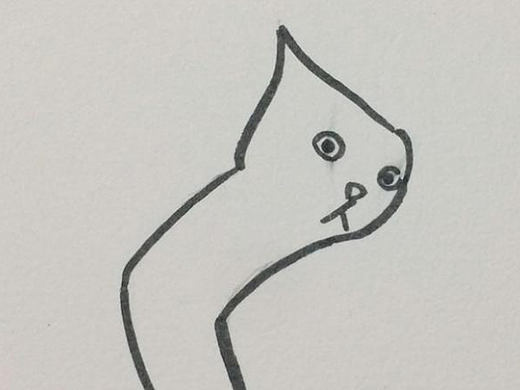 你确定这是猫咪？写实风格的可爱小猫咪