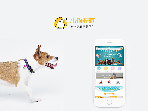 宠物类APP界面设计 【小狗在家】
